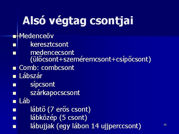 Alsó végtag csontjai n n n Medenceöv keresztcsont medencecsont (ülőcsont+szeméremcsont+csípőcsont) Comb: combcsont Lábszár sípcsont