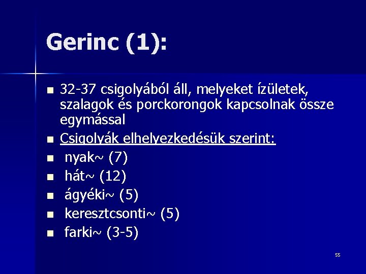 Gerinc (1): n n n n 32 -37 csigolyából áll, melyeket ízületek, szalagok és