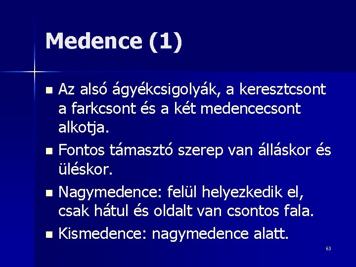 Medence (1) Az alsó ágyékcsigolyák, a keresztcsont a farkcsont és a két medencecsont alkotja.