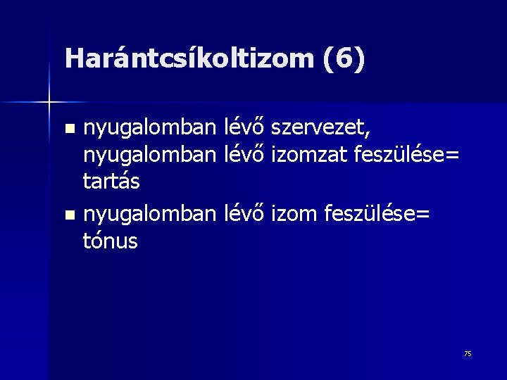 Harántcsíkoltizom (6) nyugalomban lévő szervezet, nyugalomban lévő izomzat feszülése= tartás n nyugalomban lévő izom