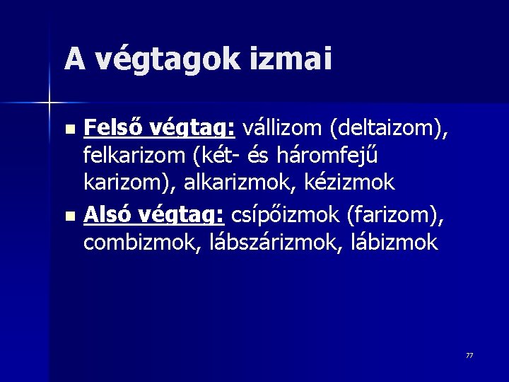 A végtagok izmai Felső végtag: vállizom (deltaizom), felkarizom (két- és háromfejű karizom), alkarizmok, kézizmok
