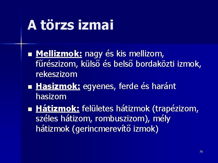 A törzs izmai n n n Mellizmok: nagy és kis mellizom, fűrészizom, külső és