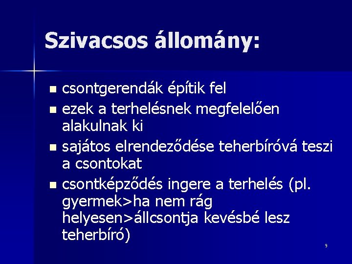 Szivacsos állomány: csontgerendák építik fel n ezek a terhelésnek megfelelően alakulnak ki n sajátos