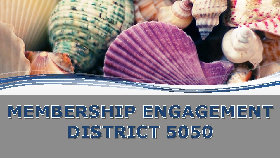 MEMBERSHIP ENGAGEMENT DISTRICT 5050 