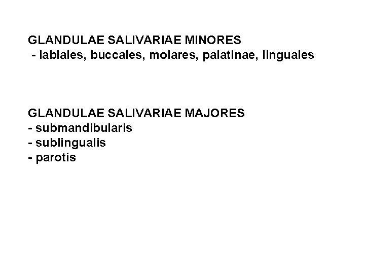 GLANDULAE SALIVARIAE MINORES - labiales, buccales, molares, palatinae, linguales GLANDULAE SALIVARIAE MAJORES - submandibularis