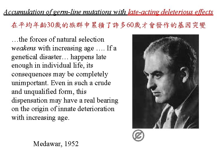 Accumulation of germ-line mutations with late-acting deleterious effects 在平均年齡 30歲的族群中累積了許多 60歲才會發作的基因突變 …the forces of Accumulation of germ-line mutations with late-acting deleterious effects 在平均年齡 30歲的族群中累積了許多 60歲才會發作的基因突變 …the forces of