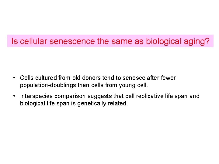 Is cellular senescence the same as biological aging? • Cells cultured from old donors Is cellular senescence the same as biological aging? • Cells cultured from old donors