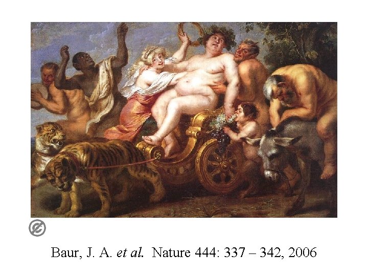 Baur, J. A. et al. Nature 444: 337 – 342, 2006 Baur, J. A. et al. Nature 444: 337 – 342, 2006