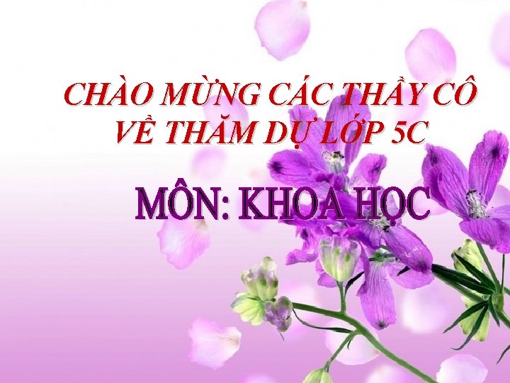 CHÀO MỪNG CÁC THẦY CÔ VỀ THĂM DỰ LỚP 5 C 