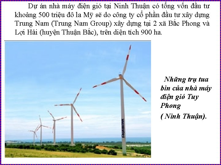 Dự án nhà máy điện gió tại Ninh Thuận có tổng vốn đầu tư