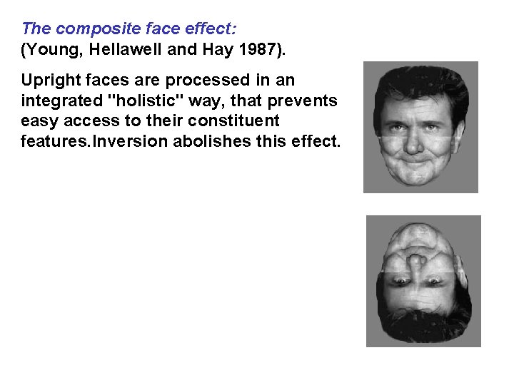 The composite face effect: (Young, Hellawell and Hay 1987). Upright faces are processed in