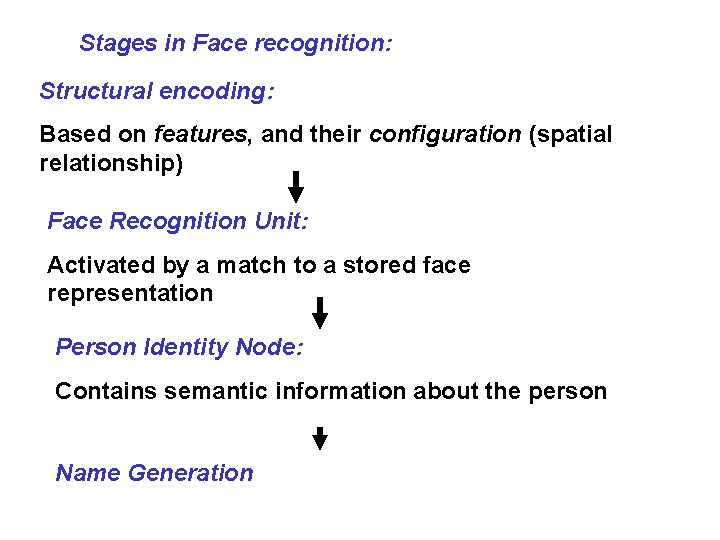 Stages in Face recognition: Structural encoding: Based on features, and their configuration (spatial relationship)