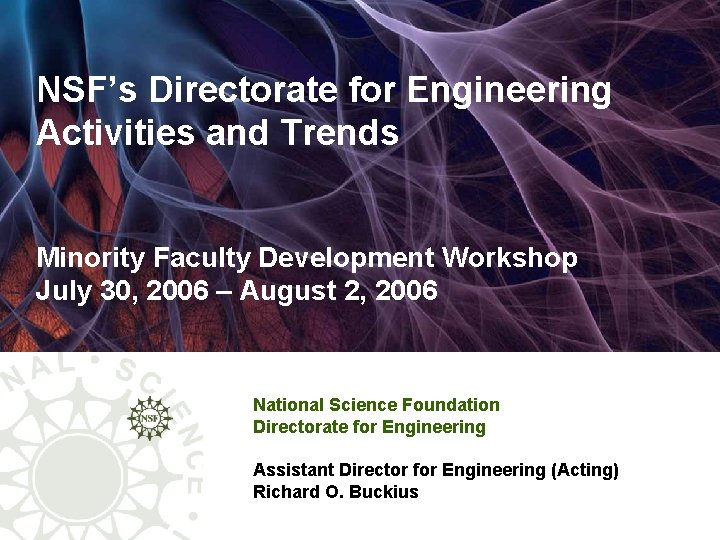 NSF’s Directorate for Engineering Activities and Trends Minority Faculty Development Workshop July 30, 2006