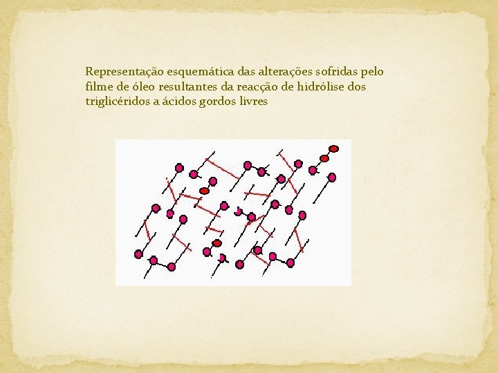 Representação esquemática das alterações sofridas pelo filme de óleo resultantes da reacção de hidrólise