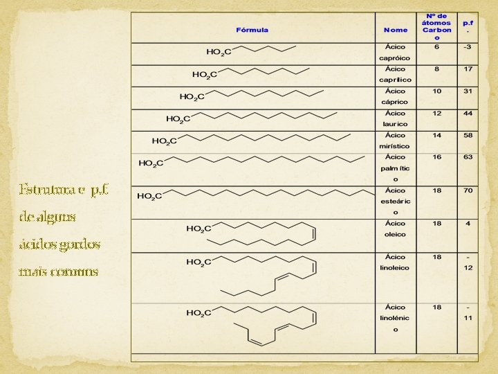 Estrutura e p. f. de alguns ácidos gordos mais comuns 