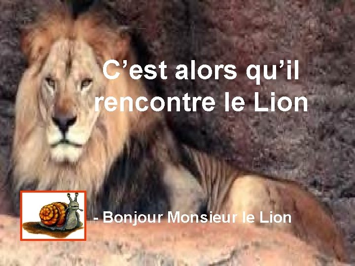 C’est alors qu’il rencontre le Lion - Bonjour Monsieur le Lion 