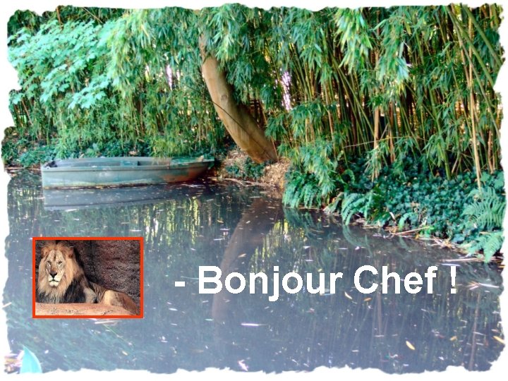 - Bonjour Chef ! 