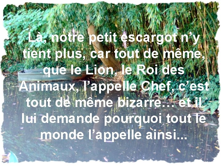 Là, notre petit escargot n’y tient plus, car tout de même, que le Lion,