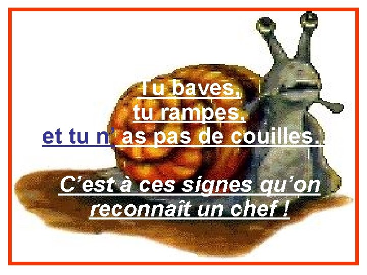 Tu baves, tu rampes, et tu n’ as pas de couilles… C’est à ces