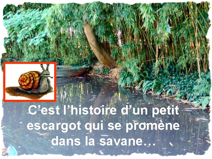 C’est l’histoire d’un petit escargot qui se promène dans la savane… 