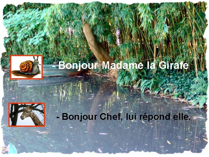- Bonjour Madame la Girafe - Bonjour Chef, lui répond elle. 
