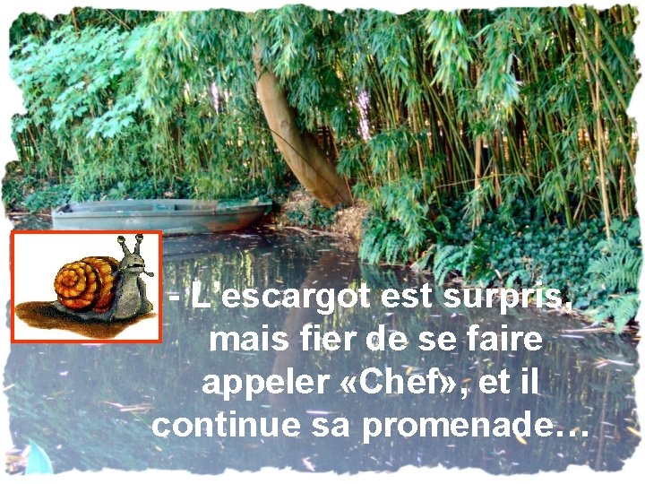- L’escargot est surpris, mais fier de se faire appeler «Chef» , et il