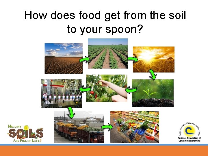 How does food get from the soil to your spoon? 