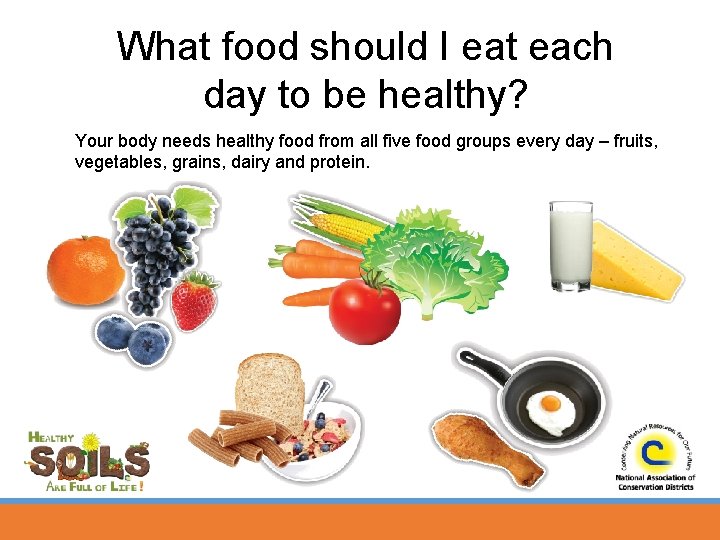 What food should I eat each day to be healthy? Your body needs healthy