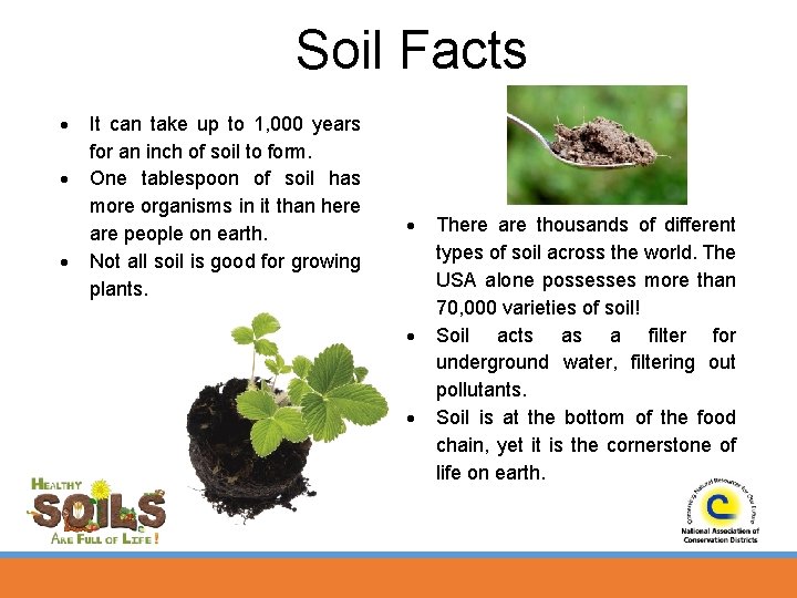 Soil Facts It can take up to 1, 000 years for an inch of