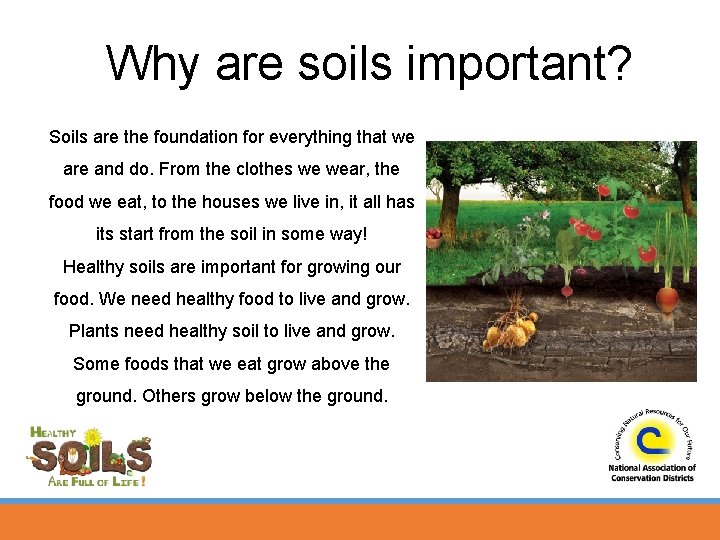 Why are soils important? Soils are the foundation for everything that we are and