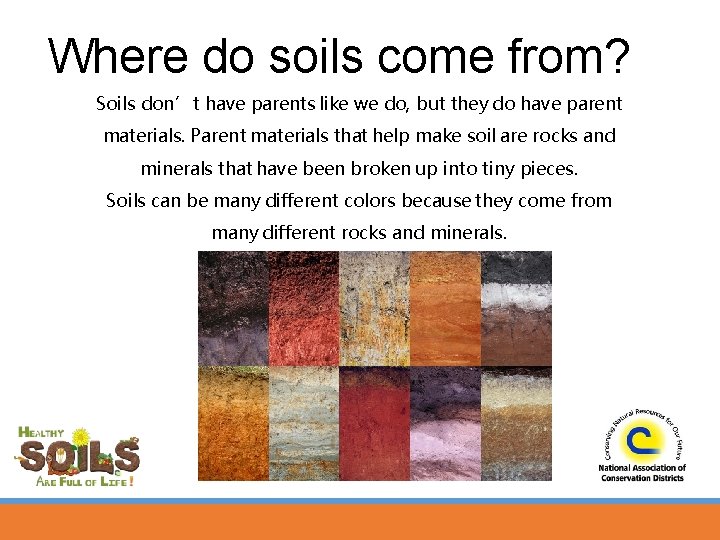 Where do soils come from? Soils don’t have parents like we do, but they