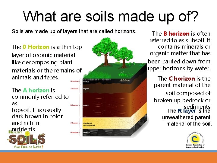 What are soils made up of? Soils are made up of layers that are