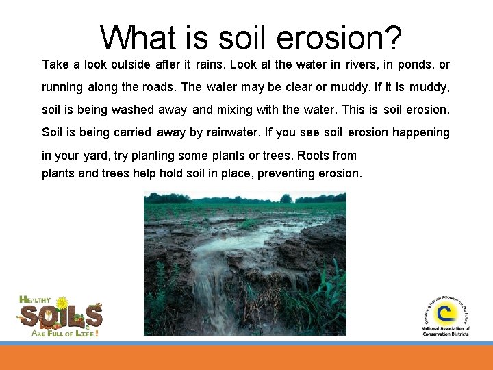 What is soil erosion? Take a look outside after it rains. Look at the