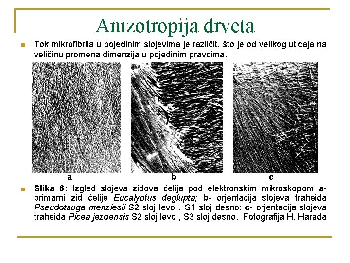 Anizotropija drveta n n Tok mikrofibrila u pojedinim slojevima je različit, što je od