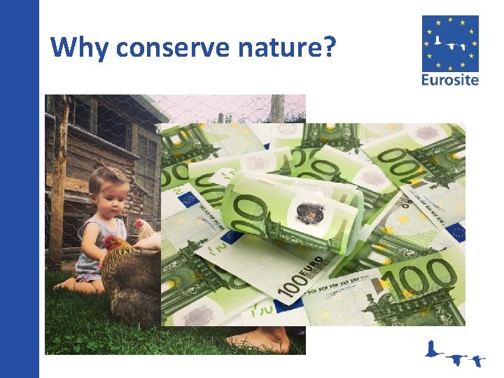 Why conserve nature? 