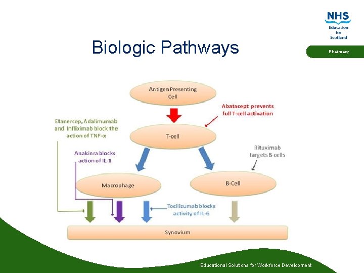 Biologic Pathways Educational Solutions for Workforce Development Pharmacy 