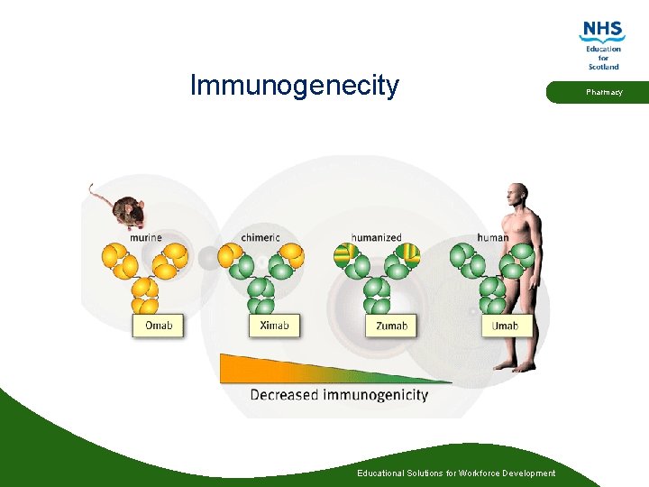 Immunogenecity Educational Solutions for Workforce Development Pharmacy 