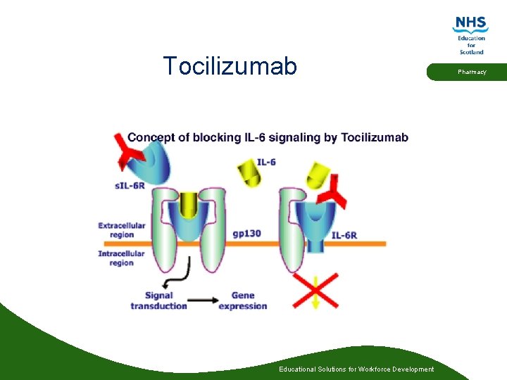 Tocilizumab Educational Solutions for Workforce Development Pharmacy 