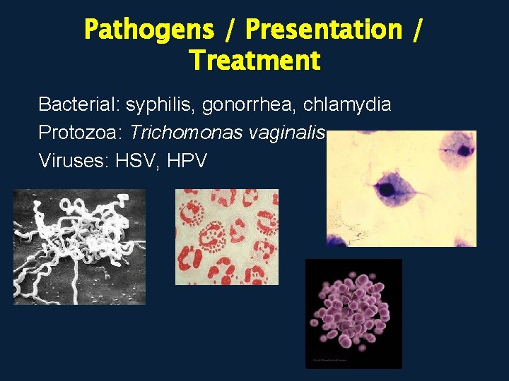 Pathogens / Presentation / Treatment Bacterial: syphilis, gonorrhea, chlamydia Protozoa: Trichomonas vaginalis Viruses: HSV,