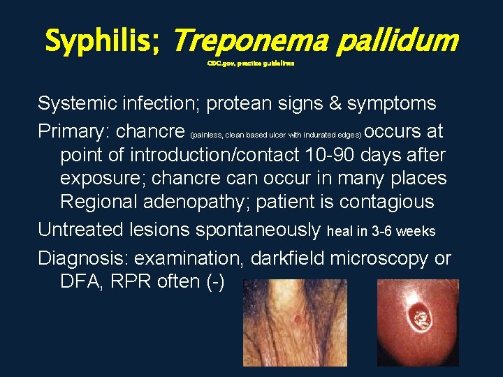 Syphilis; Treponema pallidum CDC. gov, practice guidelines Systemic infection; protean signs & symptoms Primary: