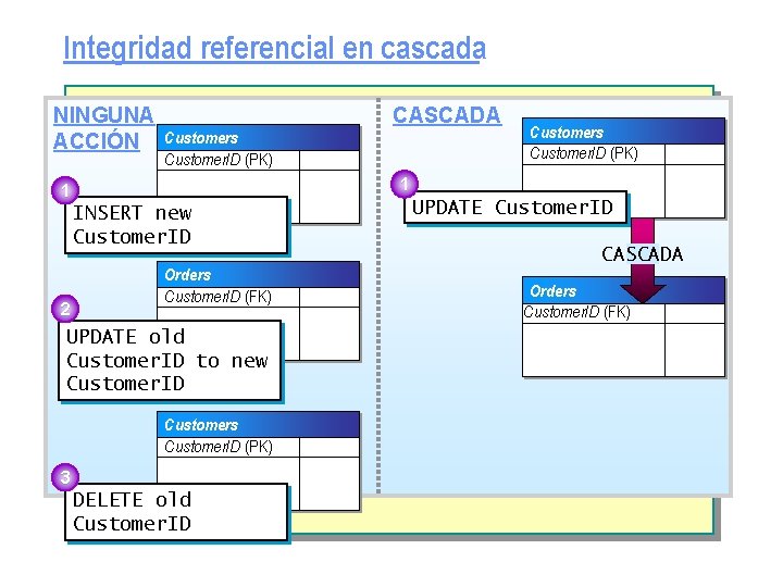 Integridad referencial en cascada NINGUNA ACCIÓN CASCADA Customers Customer. ID (PK) 1 1 INSERT