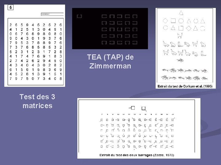 TEA (TAP) de Zimmerman Test des 3 matrices 