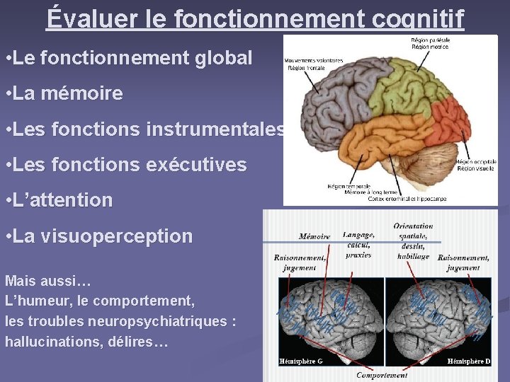 Évaluer le fonctionnement cognitif • Le fonctionnement global • La mémoire • Les fonctions