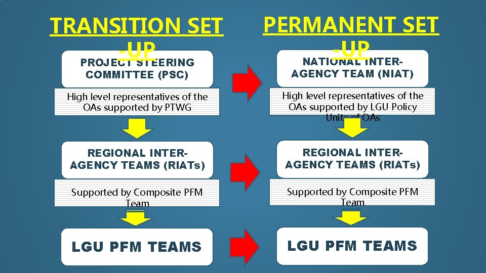 TRANSITION SET -UP PROJECT STEERING PERMANENT SET -UP NATIONAL INTER- High level representatives of