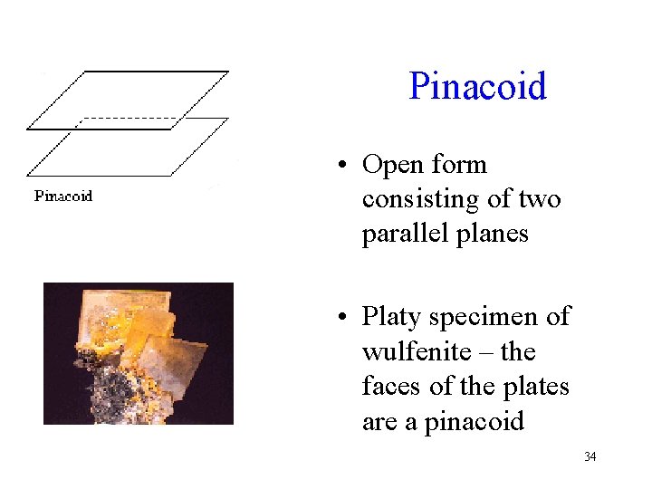 Pinacoid • Open form consisting of two parallel planes • Platy specimen of wulfenite