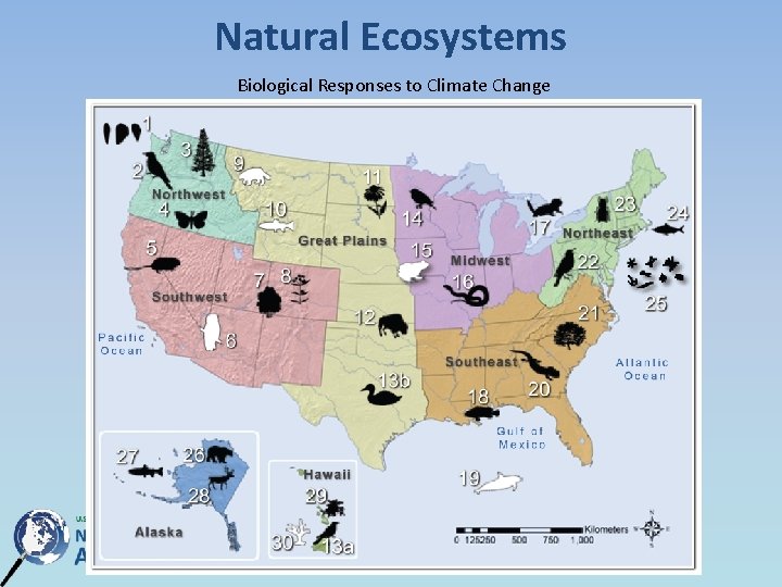 Natural Ecosystems Biological Responses to Climate Change Natural Ecosystems Biological Responses to Climate Change
