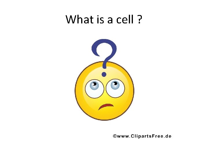 What is a cell ? 