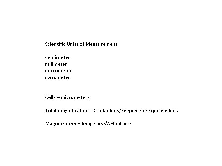 Scientific Units of Measurement centimeter milimeter micrometer nanometer Cells – micrometers Total magnification =