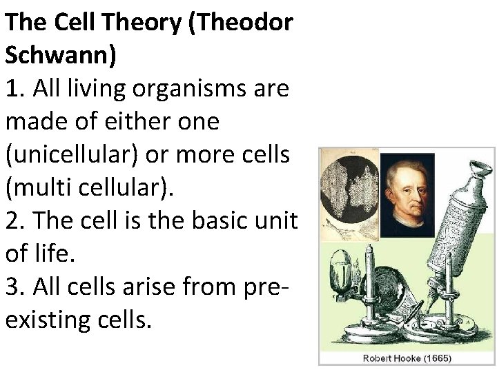 The Cell Theory (Theodor Schwann) 1. All living organisms are made of either one