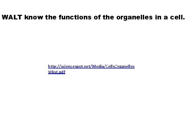 WALT know the functions of the organelles in a cell. http: //sciencespot. net/Media/Cells. Organelles